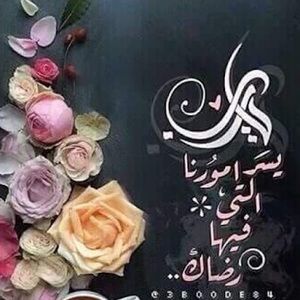 Meet your Posher, Mohamed el hafiz